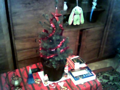 ex-Pioneer and redjade's christmas tree