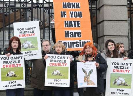 protest against coursing