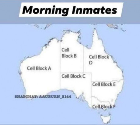 IMG_Australia_cells_2021.jpg