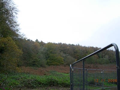 Cruachan Woods in background, field in foreground was site of music festivals now marked for more houses