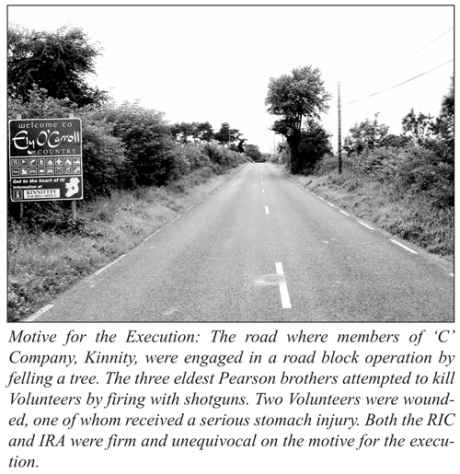 The public roadway beside their land, where the Pearsons attacked an IRA tree-felling party