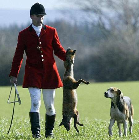 The "sport" of foxhunting