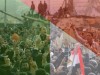 arabuprising.jpg