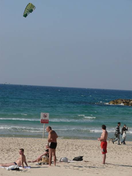 Total Block : Blood, sun tan lotion and willed amnesia, Tel Aviv beach this morning.