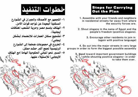 Steps for carrying out the plan - the Egyptian Activists' Action Plan -  