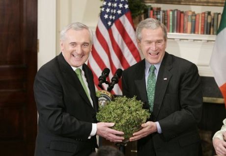 Bush and Bertie, sitting in a tree.....