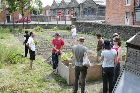 Tour of Dolphin's Barn Community Garden, part of the Grassroots Gathering timetable