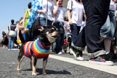 1363_gay_pride_dublin_2009.jpg