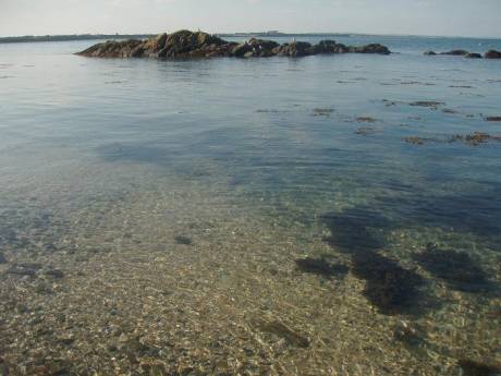 The unpolluted crystal clear waters of Bremore 20-9-08