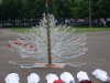 Tree of Remembrance for Gaza & our recently deceased friends on the Flotilla