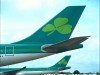 Aer Lingus introduces racist language testing