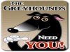 Greyhounds need protection too